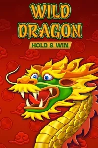 wild dragon logo